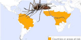 Image of Mosquito on Yellow Fever World